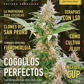REVISTA THC 168