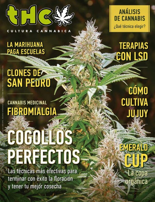 REVISTA THC 168
